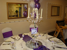 Stallingborough Grange Chair Covers